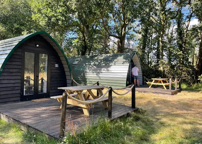Nightjar Cabin At Cloudshill Glade