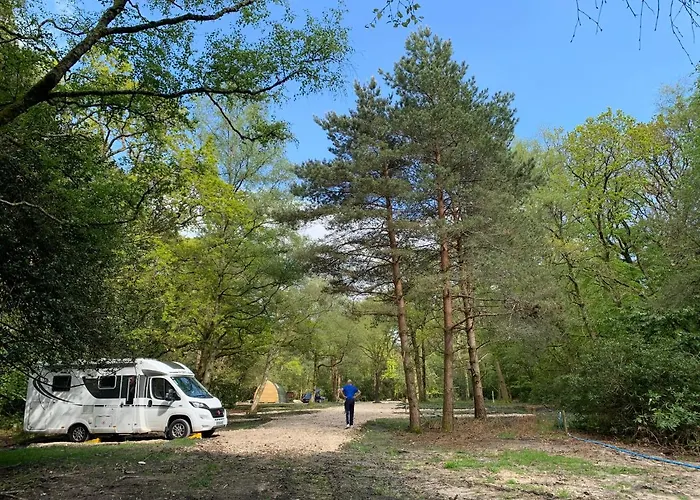 Nightjar Cabin At Cloudshill Glade